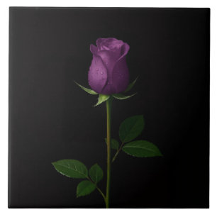 Azulejo Preto 4 Luxo com Rosa Violeta Real