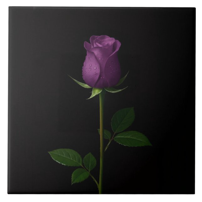 Azulejo Preto 4 Luxo com Rosa Violeta Real (Frente)