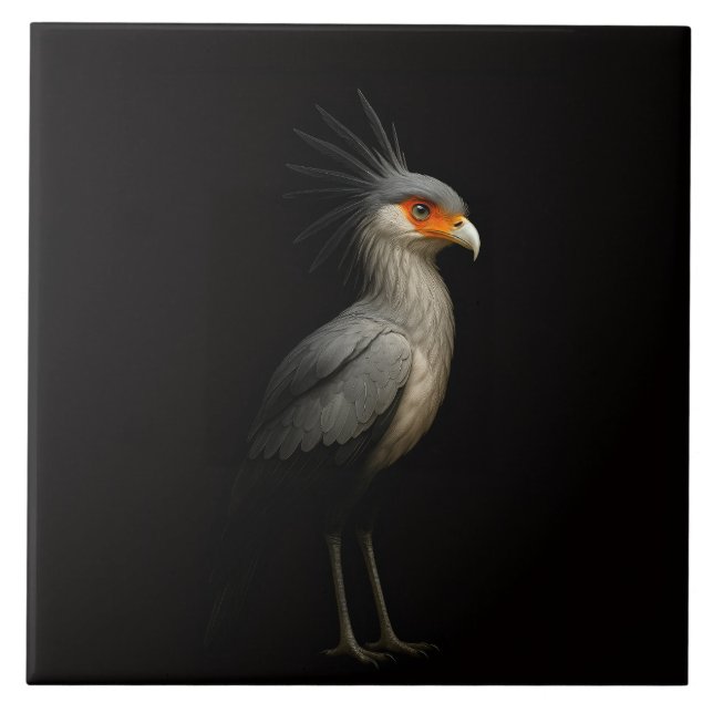 Azulejo Preto 4 Luxo com Secretarybird Exótico (Frente)