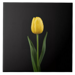 Azulejo Preto 4 Luxo com Tulipa Amarela Dourada