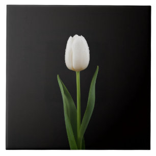 Azulejo Preto 4 Luxo com Tulipa Branca Pérola
