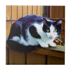Azulejo preto e branco do gato