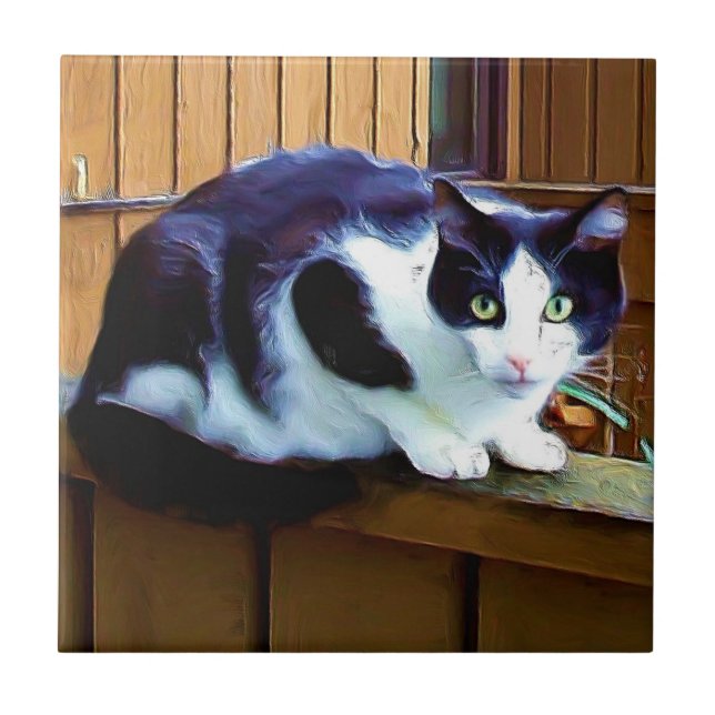 Azulejo preto e branco do gato (Frente)