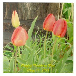 AZULEJO PRIMAVERA 2 DIA DE AS MÃES