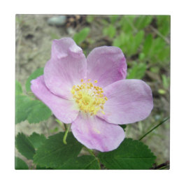 Azulejo Quadrado 10,8 cm Rosa Flor Woods