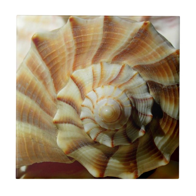 Azulejo Quadrado de Cerâmica Whelk Relâmpago (Frente)