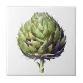 Azulejo quadrado de pintura aquosa alcachofra