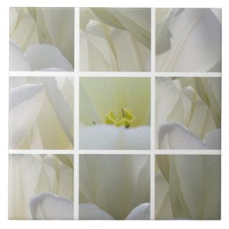 Azulejo Quadrado de Tulipas Brancas
