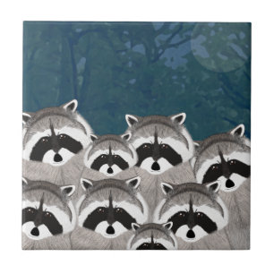 Azulejo Raccoons