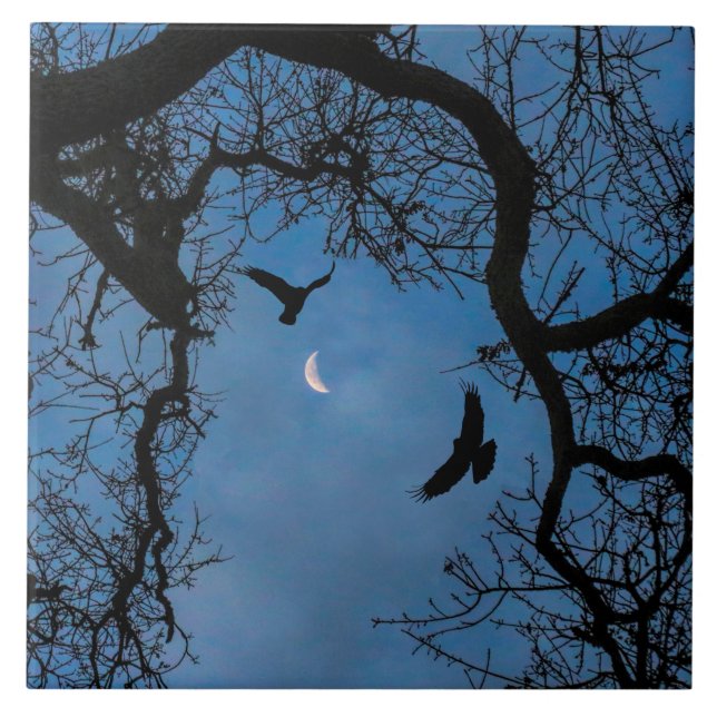 Azulejo Raven, Oak Tree e Crescent Moon Art (Frente)