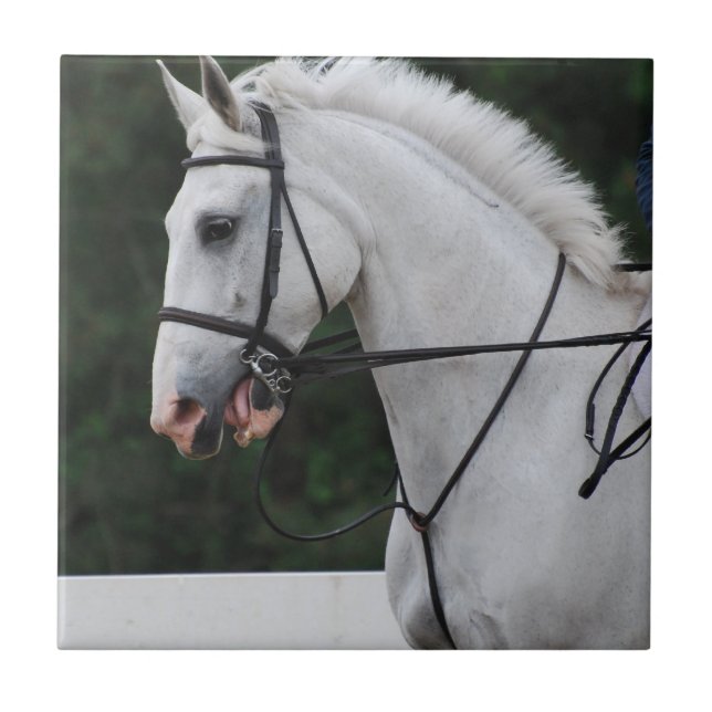 Azulejo recolhido do cavalo branco (Frente)