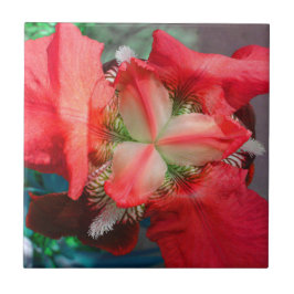 Azulejo Red Iris