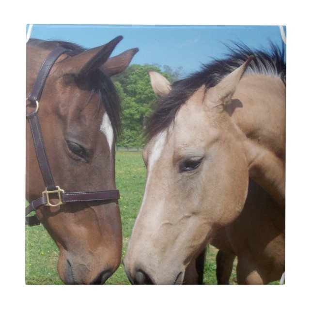Azulejo romance do cavalo (Frente)