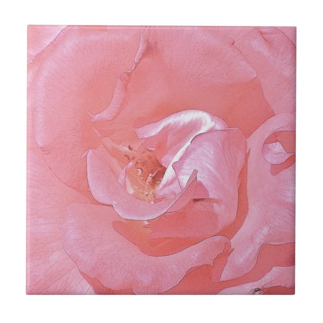 Azulejo Rosa Rosa Rosa Rosa Rosa (Frente)