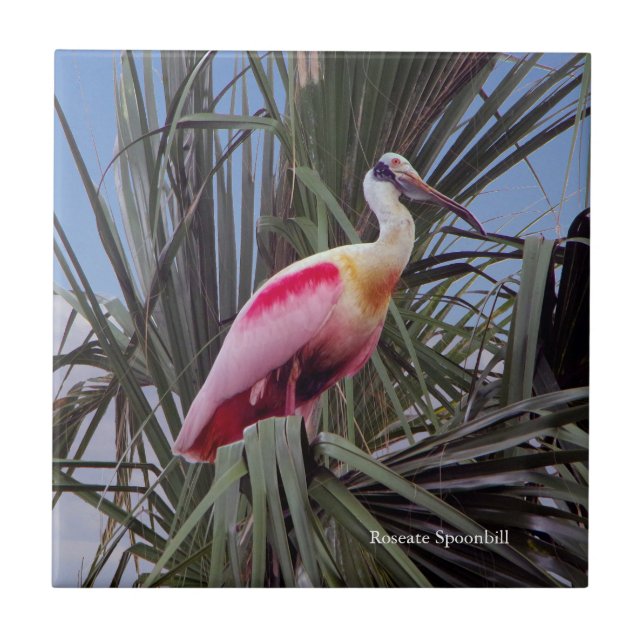 Azulejo Roseate Spoonbill (Frente)