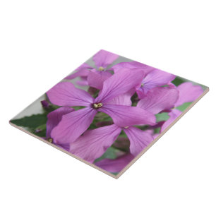 Azulejo Roxo de Flores Selvagens