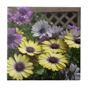 Azulejo roxo e amarelo Trivet das margaridas