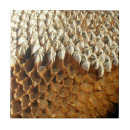 Azulejo - sementes de girassol