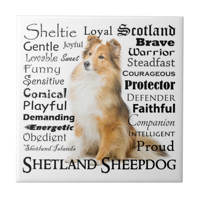 Azulejo Sheltie Traits (Frente)