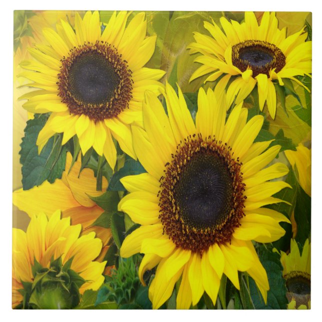 Azulejo Sunny Sunflower (Frente)