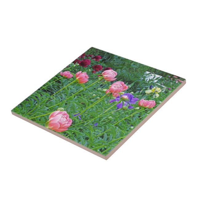 AZULEJO/TRIVET, "BANCO BRANCO EM PEONY GARDEN" (Lateral)