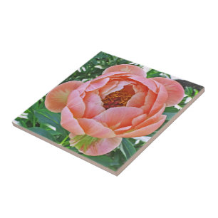 AZULEJO/TRIVET CERÂMICO COM PINCO