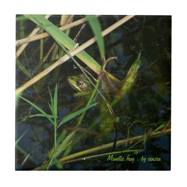 Azulejo / Trivet com sapo mimético verde (Frente)