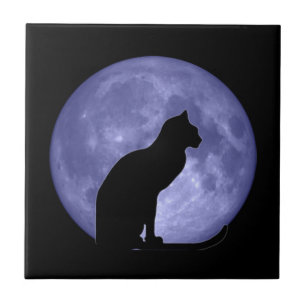 Azulejo Trivet da lua azul de gato preto