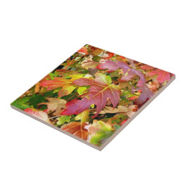 azulejo/Trivet de 'Autumn Leaves'