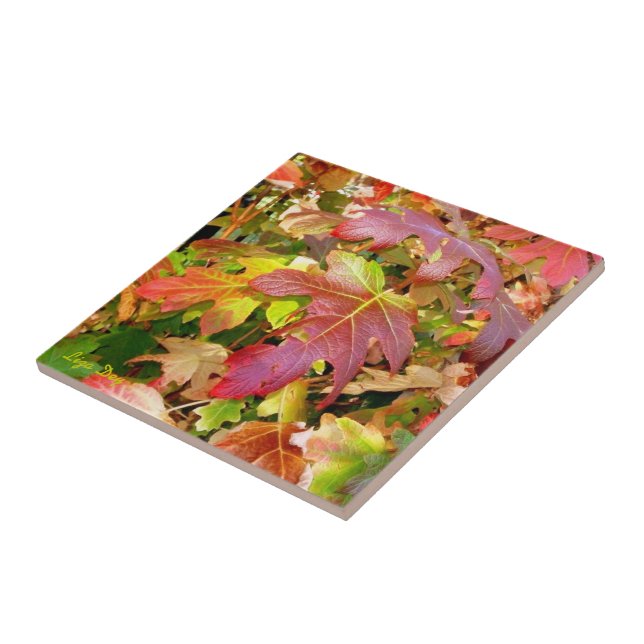 azulejo/Trivet de 'Autumn Leaves' (Lateral)