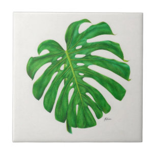 Azulejo tropical da folha de Monstera