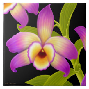 Azulejo tropical da orquídea de Nobile do