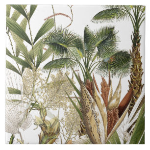 Azulejo tropical das frondas da palmeira da ilha