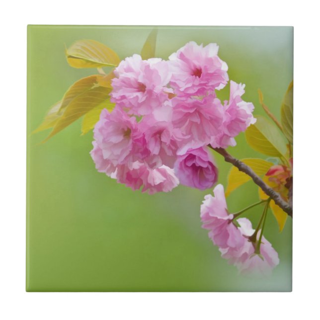 Azulejo velho dos rosas (Frente)