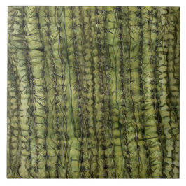 Azulejo Verde Cacto para Cozinha