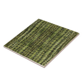 Azulejo Verde Cacto para Cozinha