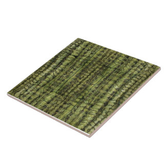 Azulejo Verde Cacto para Cozinha