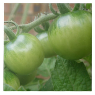 Azulejo verde dos tomates