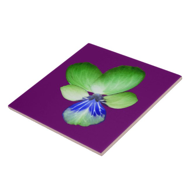 Azulejo verde e azul (Lateral)