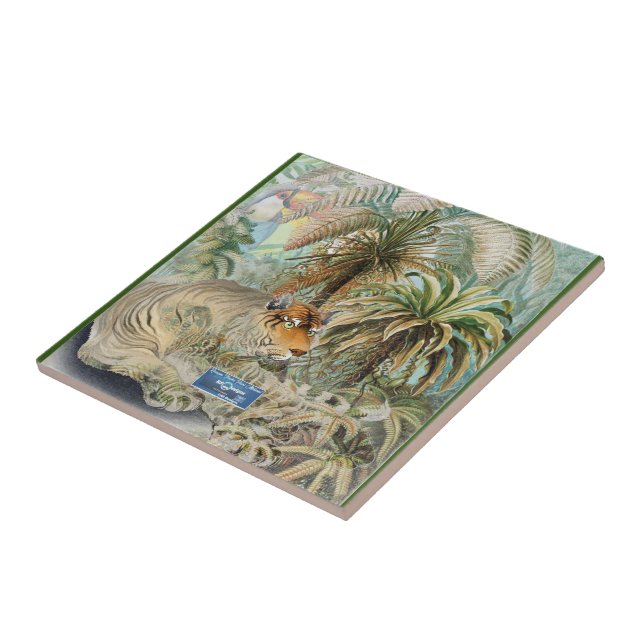 Azulejo Verde Escuro(Febre Selvagem) Sinais de RFP (Lateral)