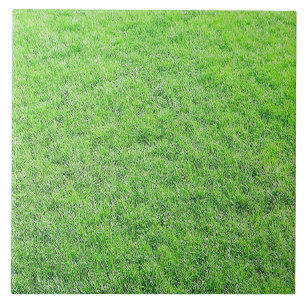 Azulejo Verde Incrível