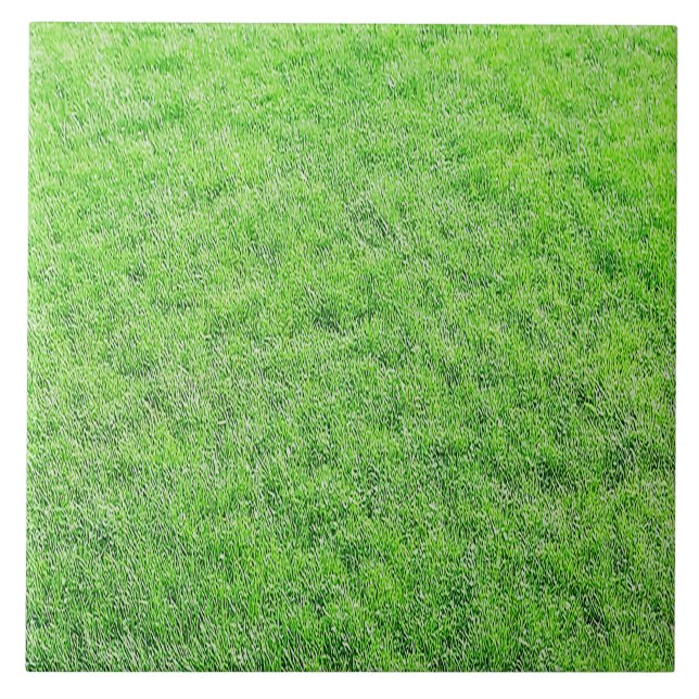 Azulejo Verde Incrível (Frente)