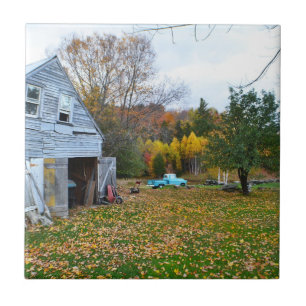Azulejo Vintage Vermont Scene