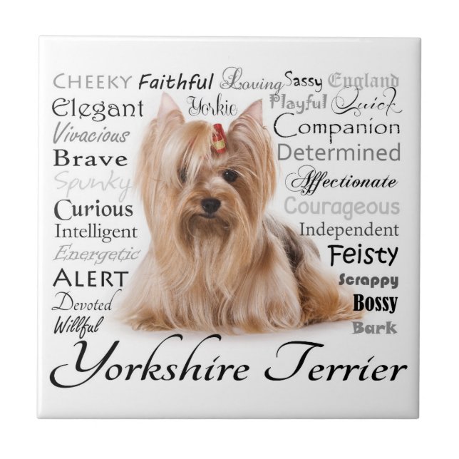 Azulejo Yorkie Traits (Frente)