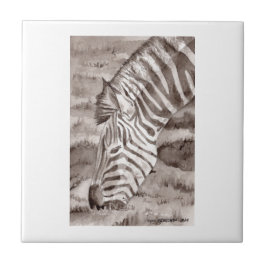 azulejo zebra