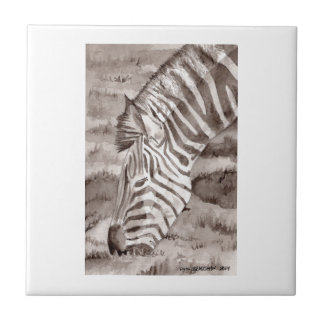 azulejo zebra