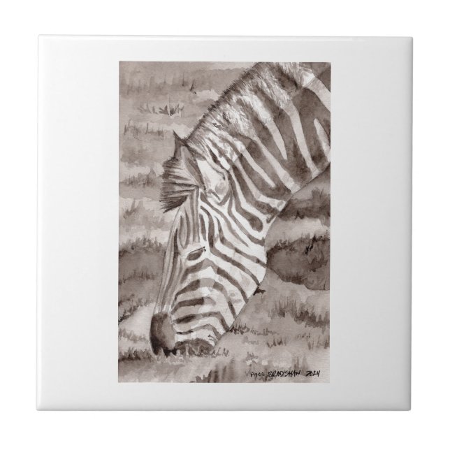 azulejo zebra (Frente)