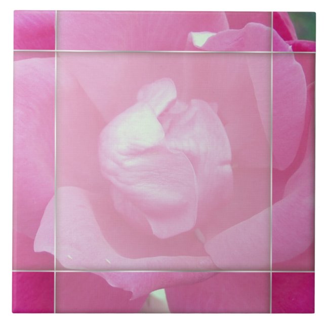 Azulejos Cerâmicos de Fotografia Rosa Rosa 2, Vívi (Frente)