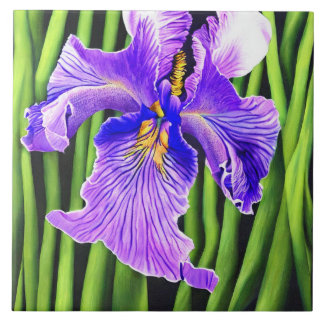 Azulejos Cerâmicos Decorativos Iris Azul