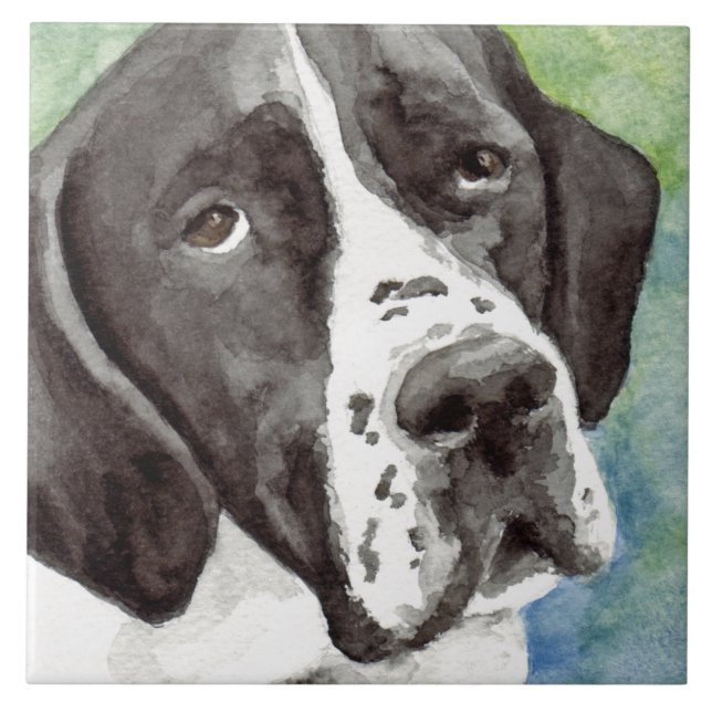 Azulejos da arte do ponteiro (Frente)